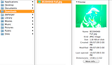 Downloads Images